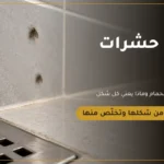 أشكال حشرات الحمام وأنواعها   ركن المنزل