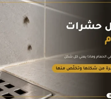 أشكال حشرات الحمام وأنواعها   ركن المنزل