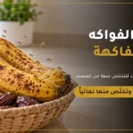 ركن المنزل للتخلص من حشرة الفواكه في مكة