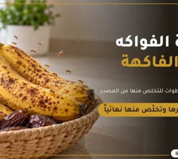 ركن المنزل للتخلص من حشرة الفواكه في مكة