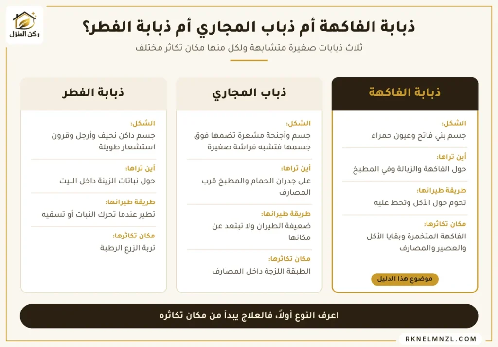 الفرق بين ذبابة الفاكهة وذباب المجاري وذبابة الفطر