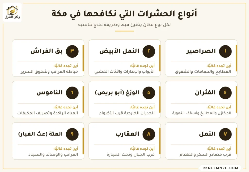 أنواع الحشرات المنزلية في مكة