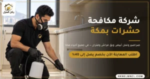ركن المنزل لمكافحة الحشرات ورش المبيدات في مكة