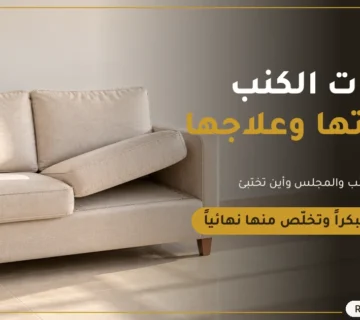 حشرات الكنب وعلامات وجودها   ركن المنزل