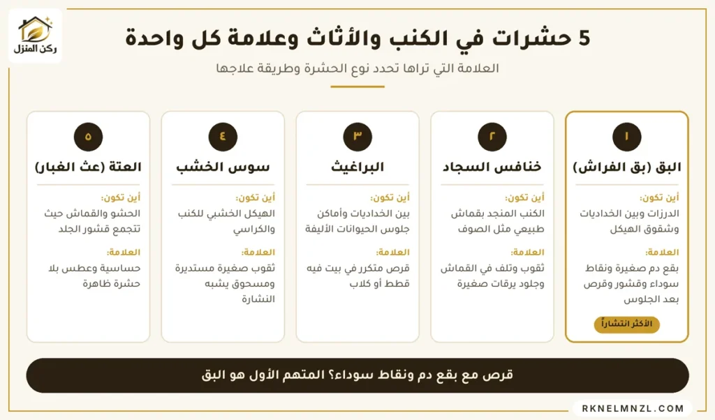 أنواع حشرات الكنب والأثاث وعلاماتها